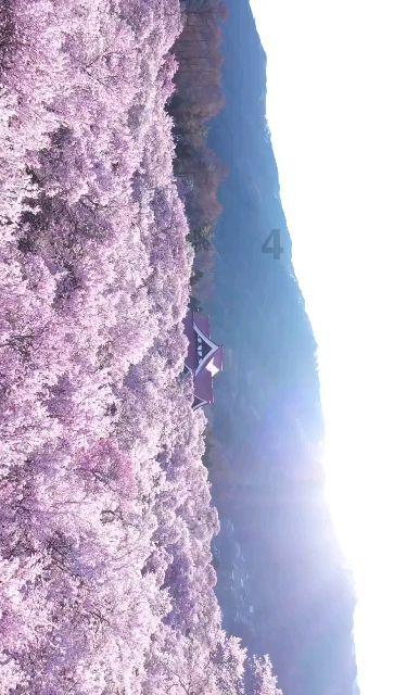 绝地求生坦克版2